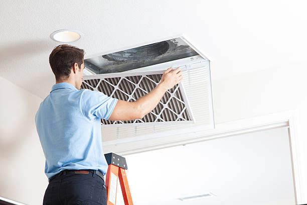 Best Air Filters and Purifiers in Gruetli Laager, TN